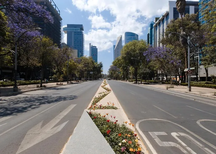 Sonder Los Ríos